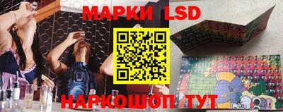 мяу мяу мука Краснознаменск