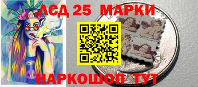 мяу мяу мука Краснознаменск