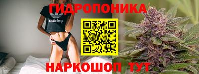 мяу мяу мука Краснознаменск