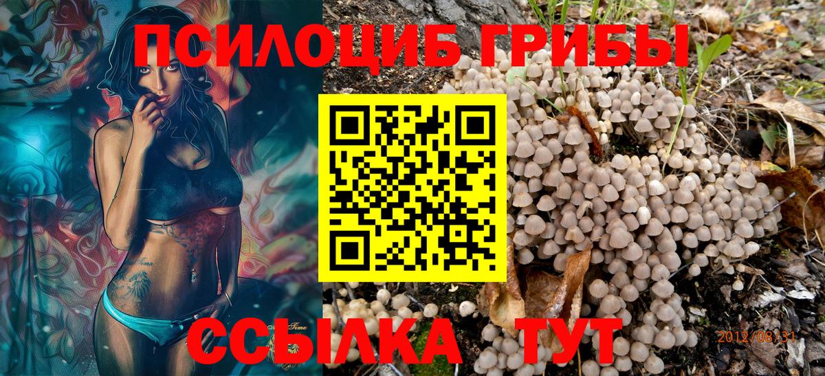 Галлюциногенные грибы прущие грибы Кизилюрт