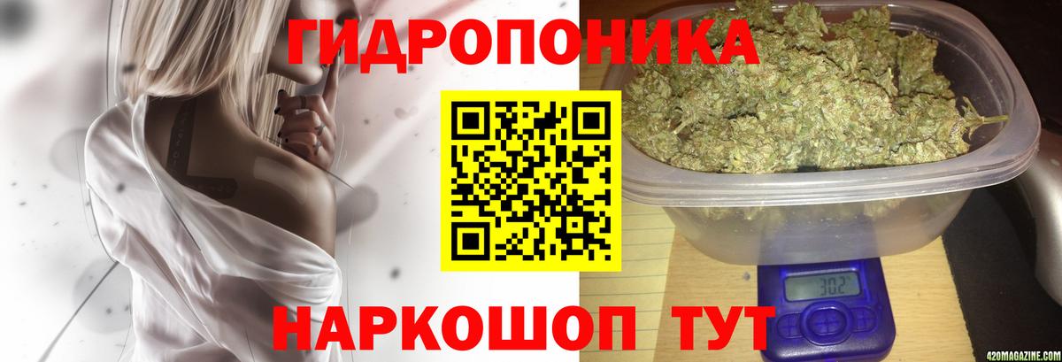 Конопля конопля  Бошки Шишки сатива  Каннабис Bruce Banner  Кизилюрт  Вход с VPN 